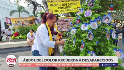 Madres de desaparecidos se reúnen en el Árbol del Dolor en Veracruz | DPC con Paola Rojas