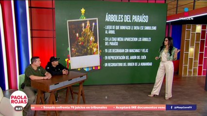 ¿Ustedes conocen el origen del árbol de navidad? | DPC con Poala Rojas