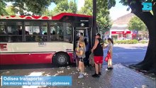 Odisea transporte, los micros en la mira de los platenses