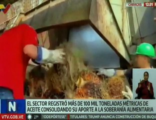 Producción nacional de aceite crudo de palma superó las 100 mil toneladas métricas