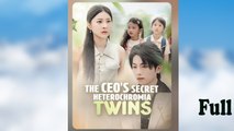 The CEO's Secret Twins