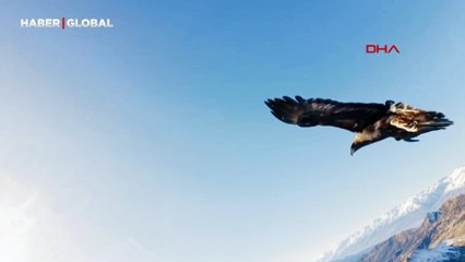 Tunceli'de dron macerası: Kartal kaptı, 6 saatlik tırmanışla alınabildi