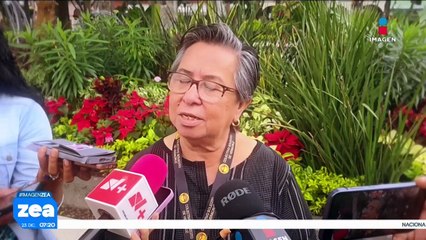 Madres buscadoras de Veracruz recuerdan a sus familiares desaparecidos con el “Árbol del Dolor”