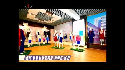 Êxitos logrados no setor da indústria leve este ano