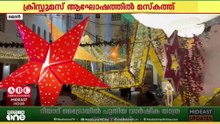 ക്രിസ്മസ് ആഘാഷലഹരിയിൽ മസ്തകത്ത്..