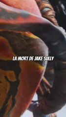 3 RAISONS POUR QUE JAKE SULLY 💀
