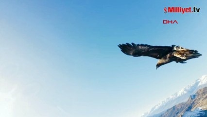 Tunceli'de kartal dronu kapıp dağın zirvesine bıraktı