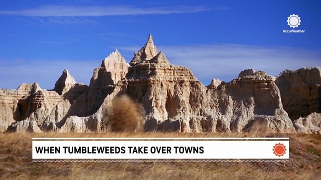 When tumbleweeds take over towns