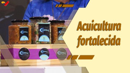 Café en la Mañana | Conppa continúa con el fortalecimiento de la pesca y acuicultura de Venezuela