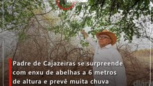 Padre de Cajazeiras se surpreende com enxu de abelhas a 6 metros de altura e prevê muita chuva