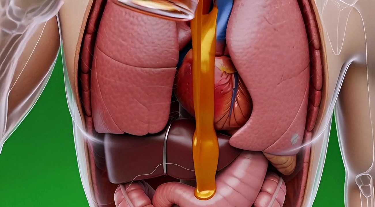 What happens inside your body when you eat hony scene 2