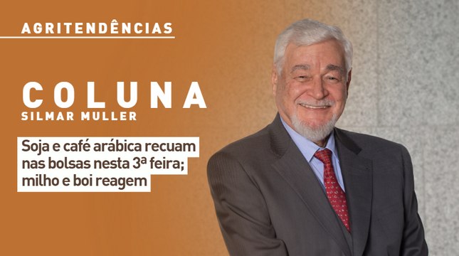 Soja e café arábica recuam nas bolsas nesta 3ª feira; milho e boi reagem
