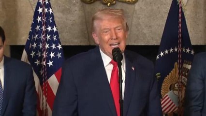 Caso Jeffrey Epstein: Trump habría volado ocho veces en el jet privado del difunto criminal sexual