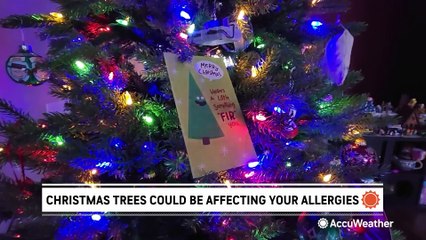 Could your Christmas tree be making your allergies worse?
