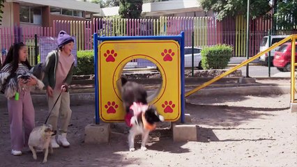 La Rosa de Guadalupe： Capítulo completo ＂Amor y compañía＂ Dic 12⧸2025