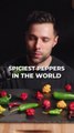 I Tasted the Spiciest Peppers in the World