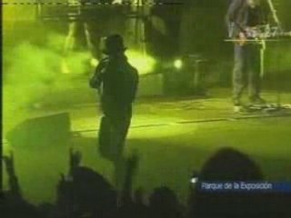 Las flores - Cafe Tacuba