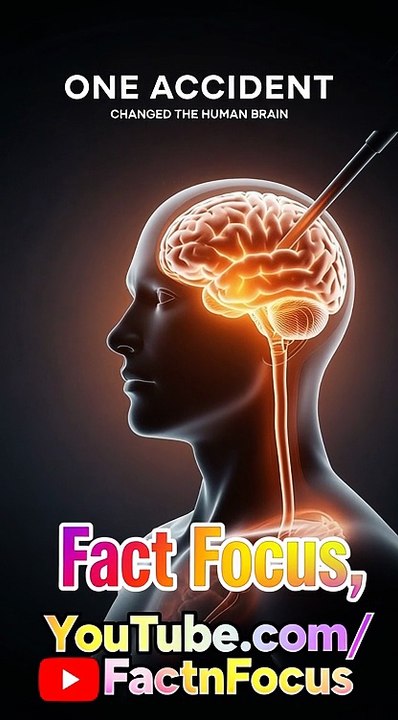The Injury That Changed Brain Science Forever