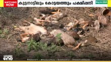 കുട്ടനാട്ടിലും കോട്ടയത്തും പക്ഷിപ്പനി സ്ഥീരീകരിച്ചു. 8000 ത്തോളം താറാവുകൾ ചത്തു