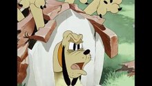 Pluto - Cachorrinho e Cachorradas (1942)