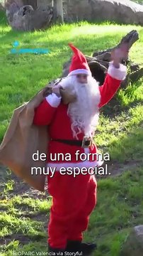 Parada extra: Santaclós llevó regalos y júbilo a animales de un zoológico en España