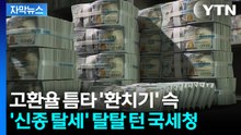 [자막뉴스] 외화 빼돌려 국내로 못 들어오게...기가 막힌 '부당유출' / YTN