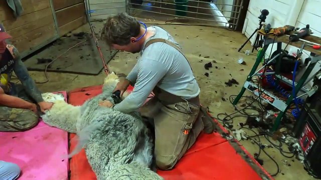 Northwoods Survival S02 E07