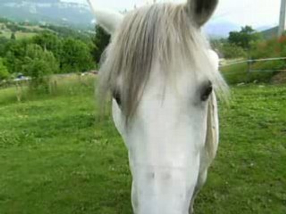 Balade 26-05-08