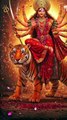 मैया आ जाओ | Maiya Aa Jao | Mata Rani Bhajan | Devi Bhakti Song