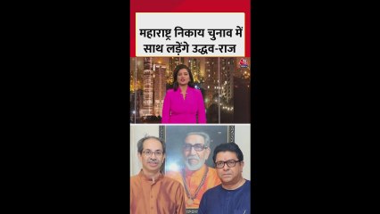 महाराष्ट्र निकाय चुनाव में साथ चुनाव लड़ेंगे उद्धव और राज ठाकरे