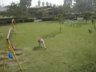 tapada de francisco 3