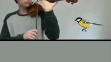 Violin Mimicry