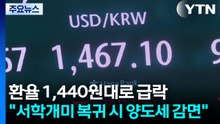 환율 1,440원대로 급락..."서학개미 복귀 시 양도세 감면" / YTN