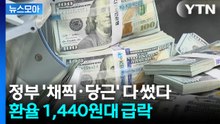 [뉴스모아] 정부 '채찍·당근' 전략 통했나? 양도세 감면 발표에 환율 급락 / YTN
