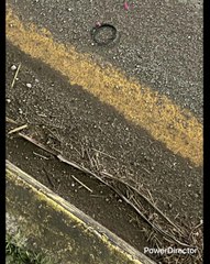 MAMÁ MURIÓ 29/03/2023 29=11 ESTA LETRA ESTÁ ÍNTIMAMENTE RELACIONADA CON MASHIAJ LA VENIDA YA ESTÁ AQUÍ LETRA 15 SUENA COMO UNA S= S= ES EL ELEGIDO EL ENVIADO Y CON EL TIEMPO DIO ORIGEN A LA X LATINA (ZAPATILLAS Y CANCIÓN AL FINAL DEL VIDEO)