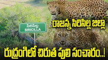Leopard: చిరుత పులి భయంతో వణికిపోతున్న గ్రామస్థులు..! | Oneindia Telugu
