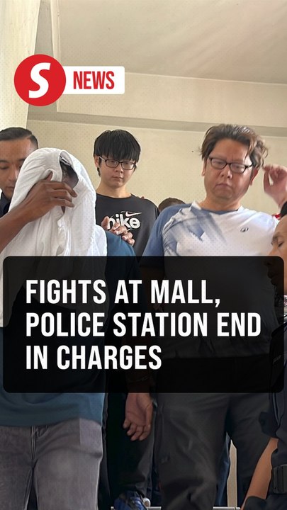 Singaporean artist, family of three charged over Johor mall brawl