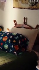 New Beginnings - Full