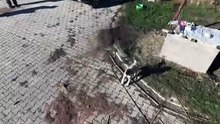 Yavru kangalın dron merakı gülümsetti