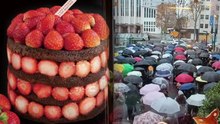 또 난리난 성심당 케이크...우산 들고 대기 행렬 [앵커리포트] / YTN