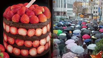 또 난리난 성심당 케이크...우산 들고 대기 행렬 [앵커리포트] / YTN