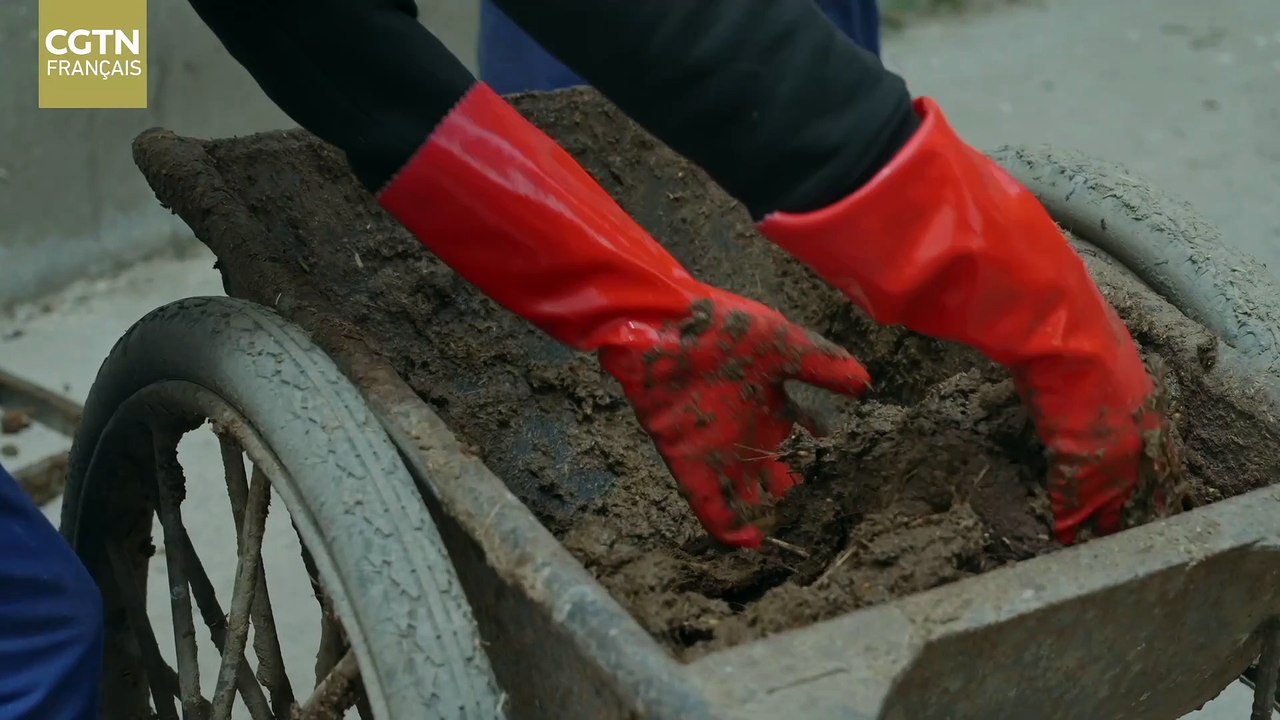 Bouse de yak séchée, combustible très utilisé au Xizang