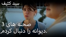 دیوانه را دنبال کردم. - سبد رخت چرک