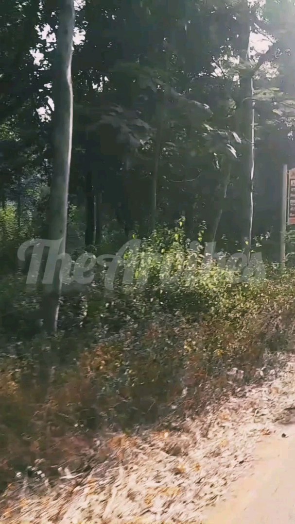 Lohardaga Travel