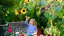 10 Excellent Plants Safe for Children In Your Garden
