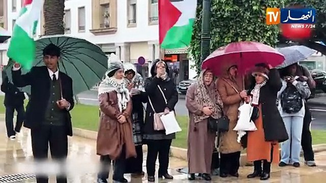 المغرب/ الذكرى الخامسة لغضب الشارع المغربي.. وقفات شعبية واسعة رفضا للتطبيع