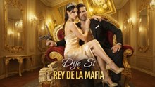 Finalizado Dije Sí al Rey de la Mafia Full Episode 2025 on ReelVaults