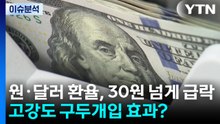 [이슈플러스] 원·달러 환율, 30원 넘게 급락...고강도 구두개입 효과? / YTN