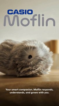 Casio présente Moflin, une peluche robot émotionnelle qui réagit à ta voix, à ton toucher et évolue avec toi. Un compagnon interactif entre tech et tendresse, pensé pour créer une connexion unique. 🧸🤖