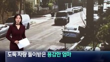 도둑 차량 들이받은 용감한 엄마